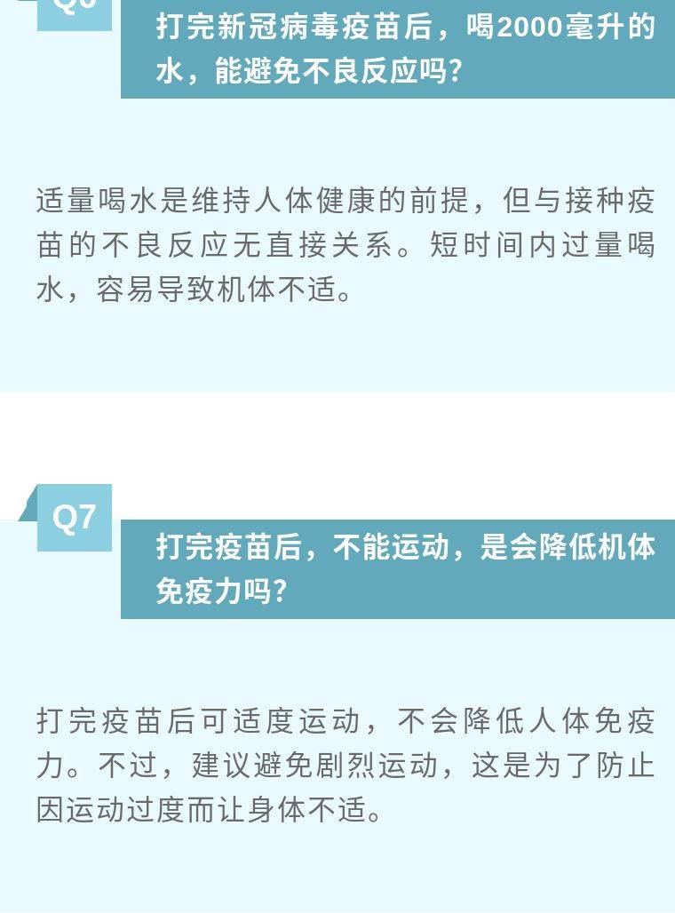 猫咪第二年疫苗接种指南，了解疫苗种类与接种次数全攻略